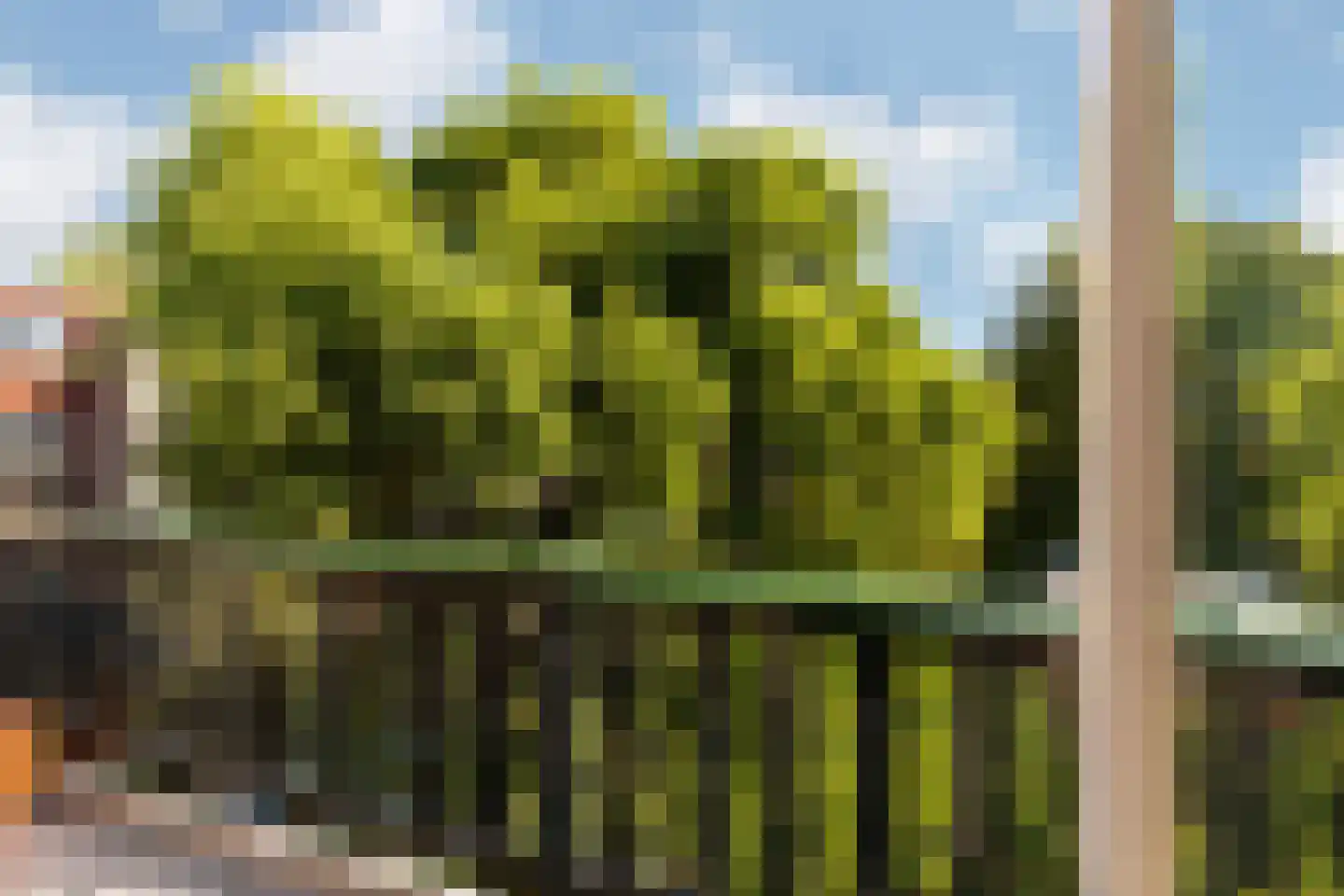Oranjestraat 32 A Rotterdam thumbnail 42