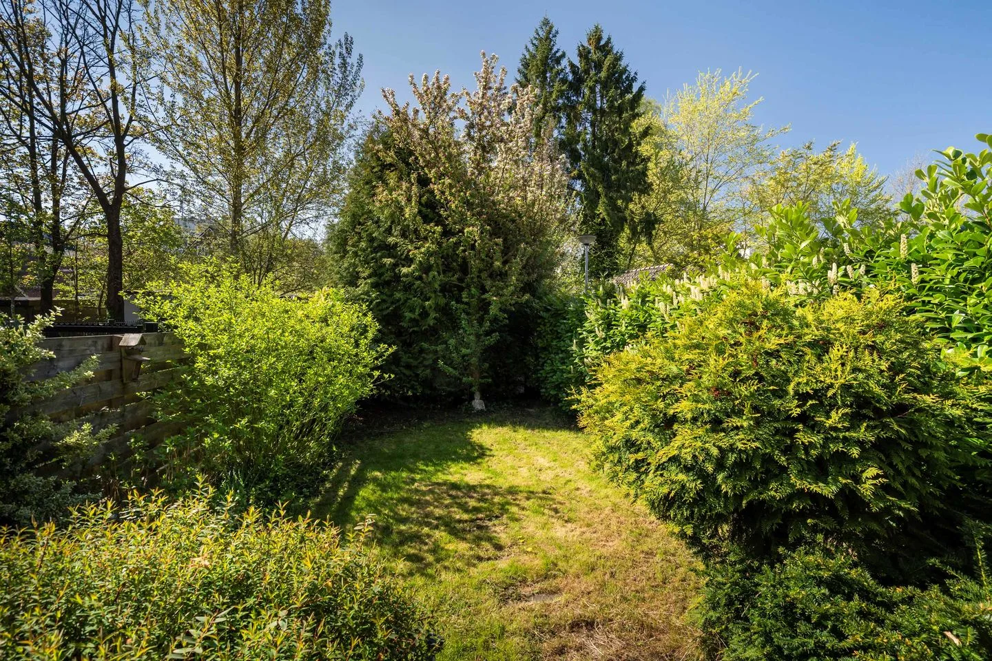 Oranjestraat 32 Assen thumbnail 25