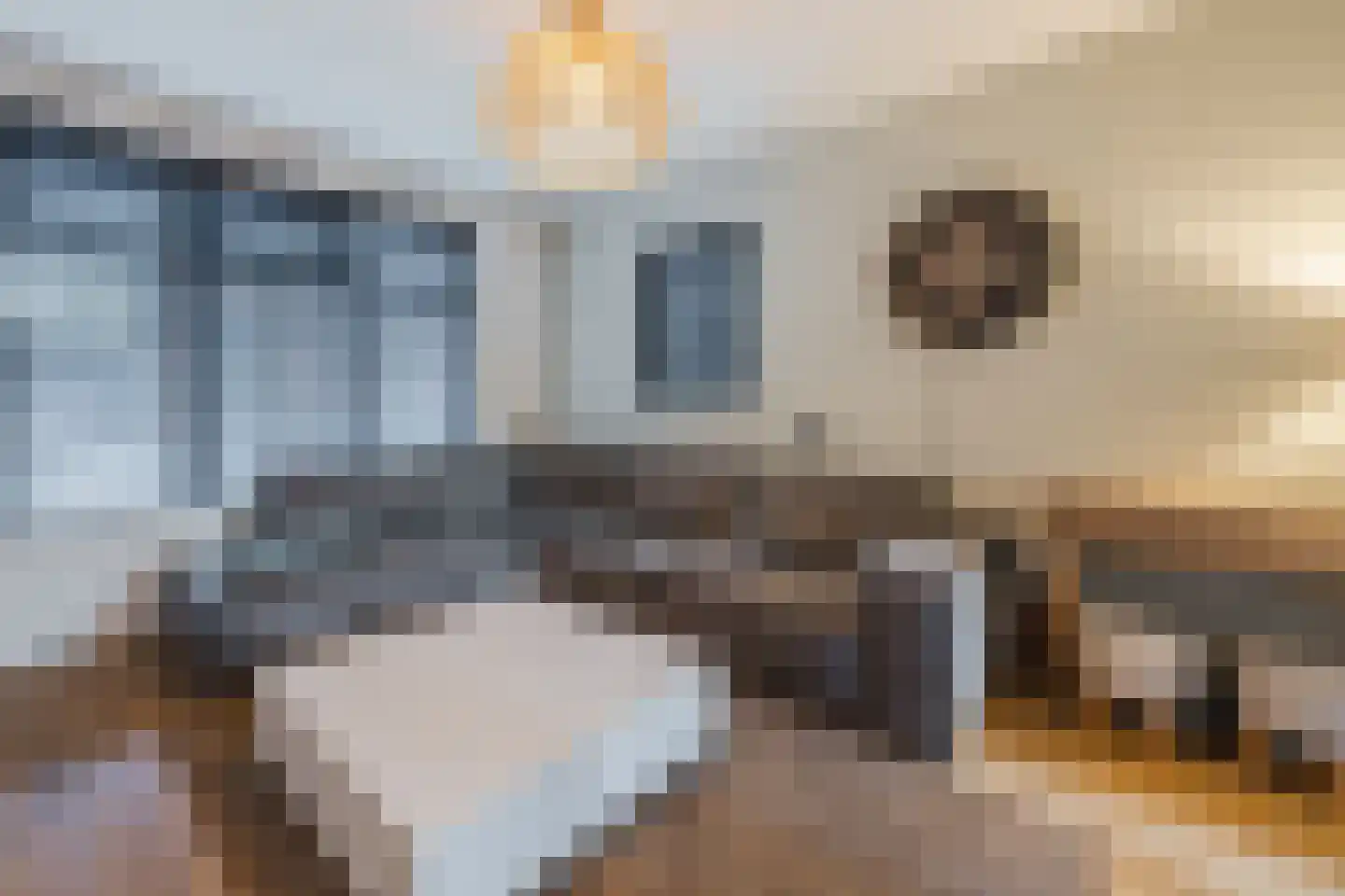 Oranjestraat 32 Gilze thumbnail 32