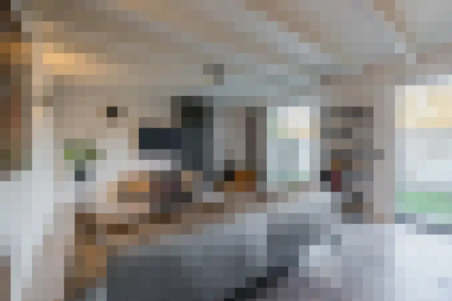 Oranjestraat 32 Gilze thumbnail 55
