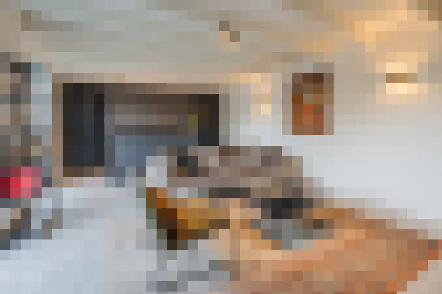 Oranjestraat 32 Gilze thumbnail 56