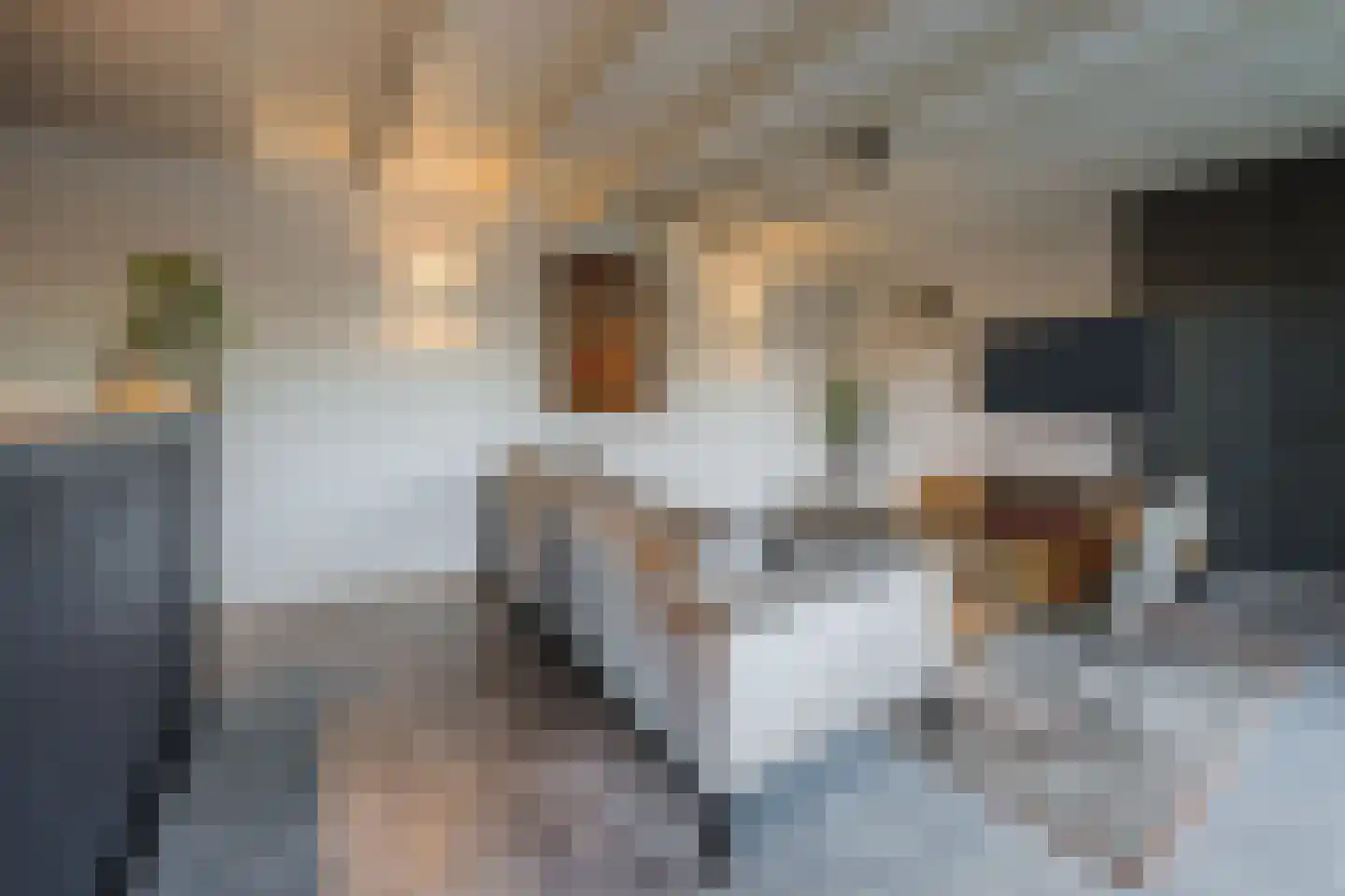 Oranjestraat 32 Gilze thumbnail 57