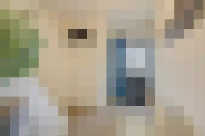 Oranjestraat 34 Duiven thumbnail 9