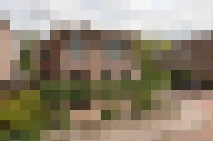 Oranjestraat 35 Assen thumbnail 5