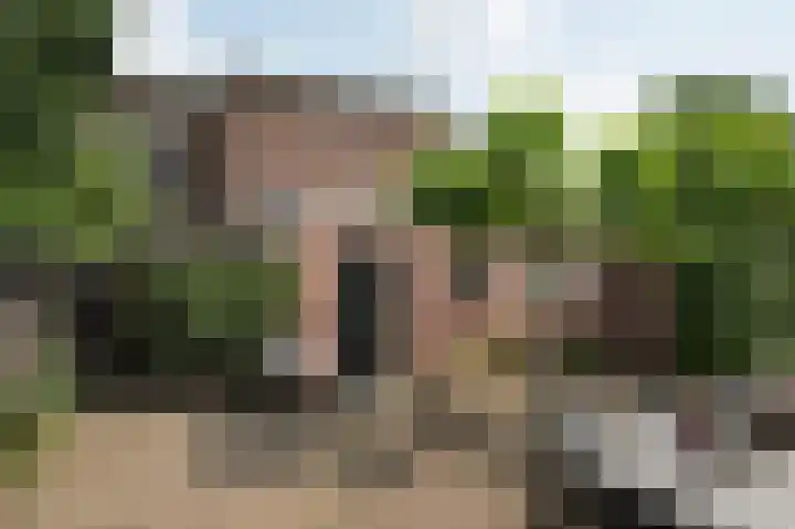 Oranjestraat 35 Assen thumbnail 63