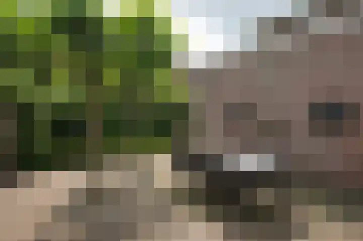 Oranjestraat 35 Assen thumbnail 69