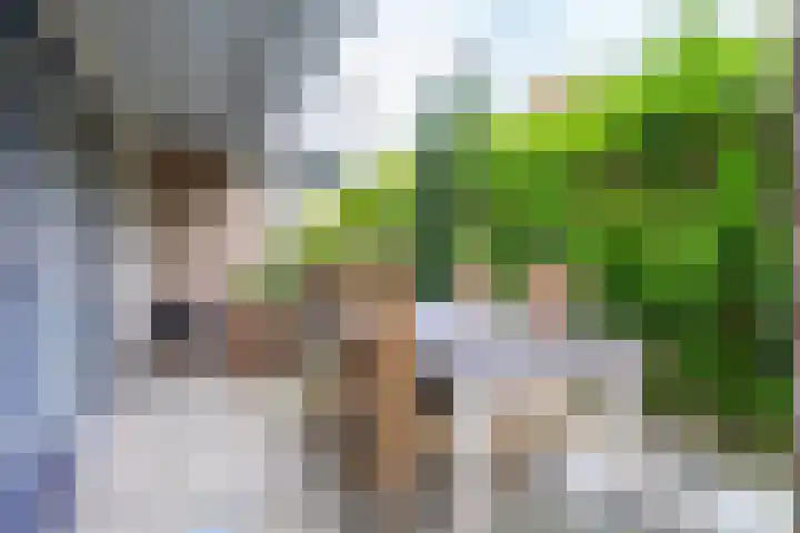 Oranjestraat 35 Barendrecht thumbnail 5
