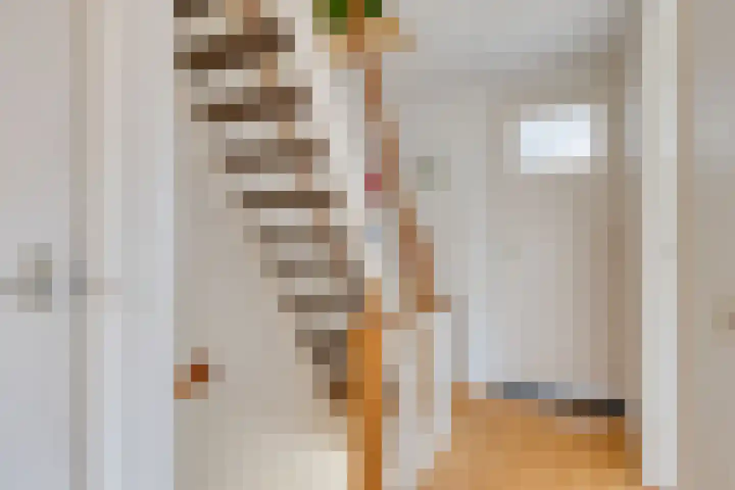 Oranjestraat 35 Rotterdam thumbnail 18