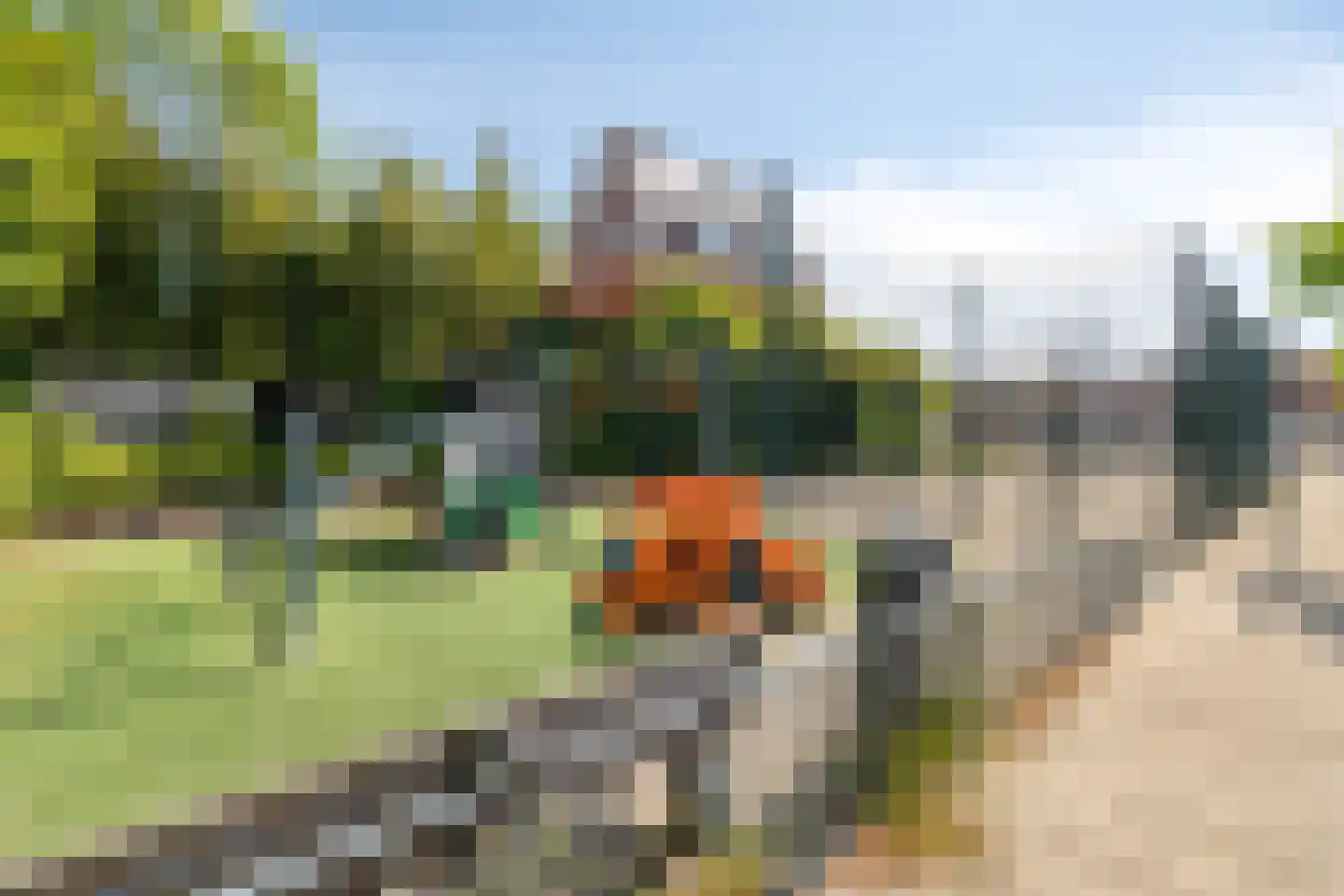 Oranjestraat 35 Rotterdam thumbnail 35