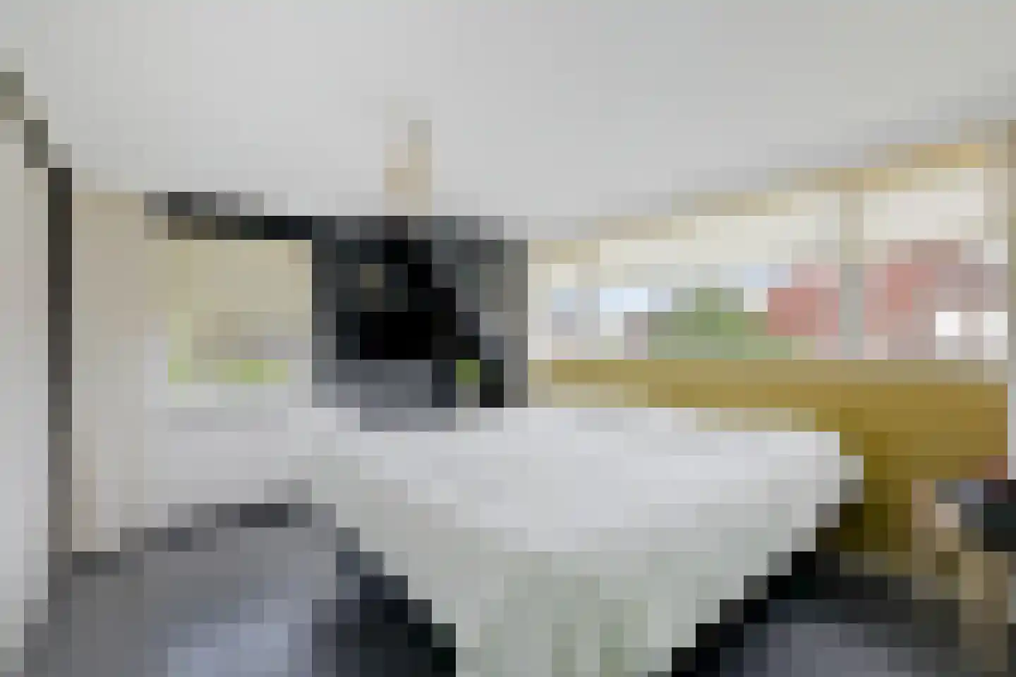 Oranjestraat 35 Wehl thumbnail 25