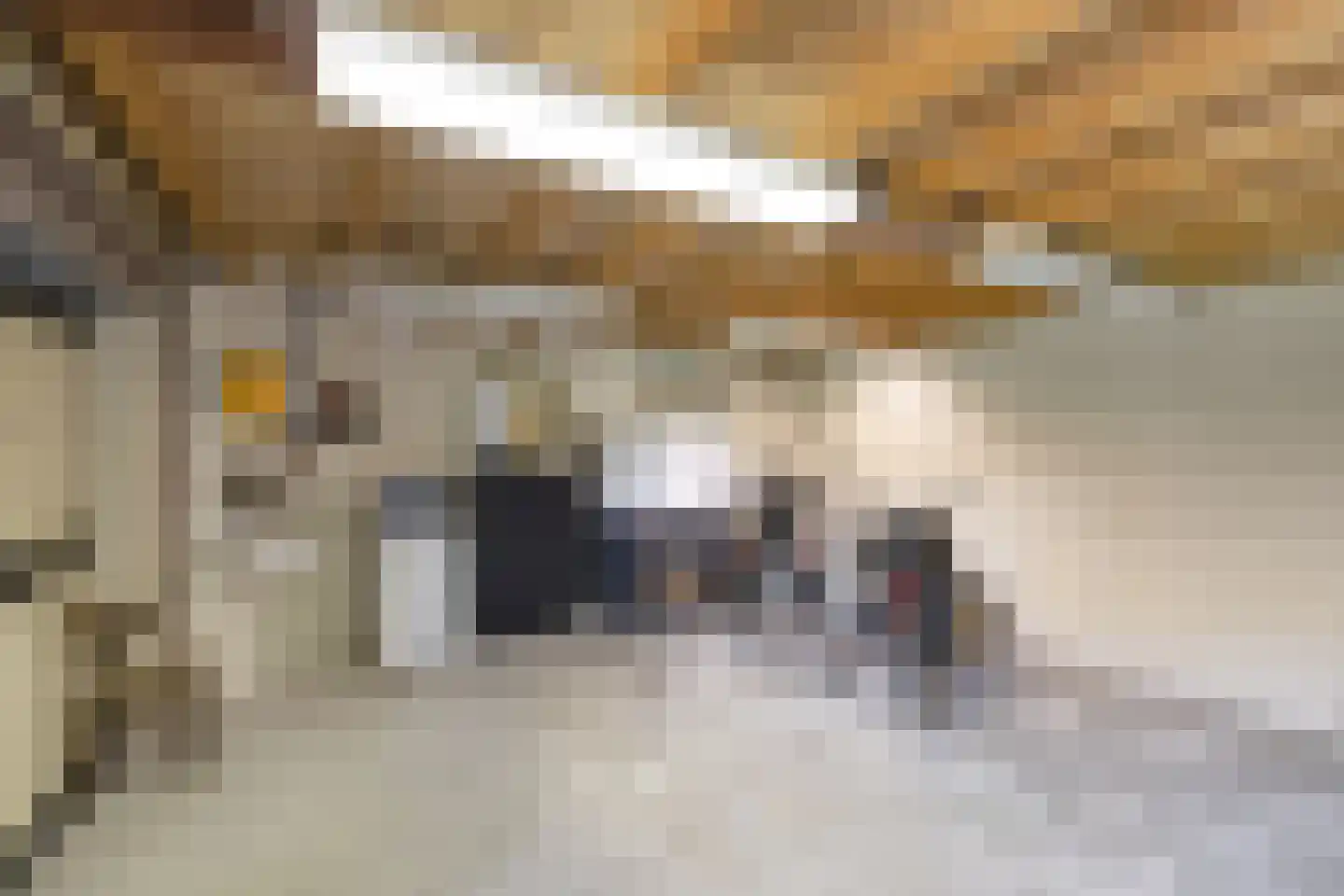 Oranjestraat 35 Wehl thumbnail 39