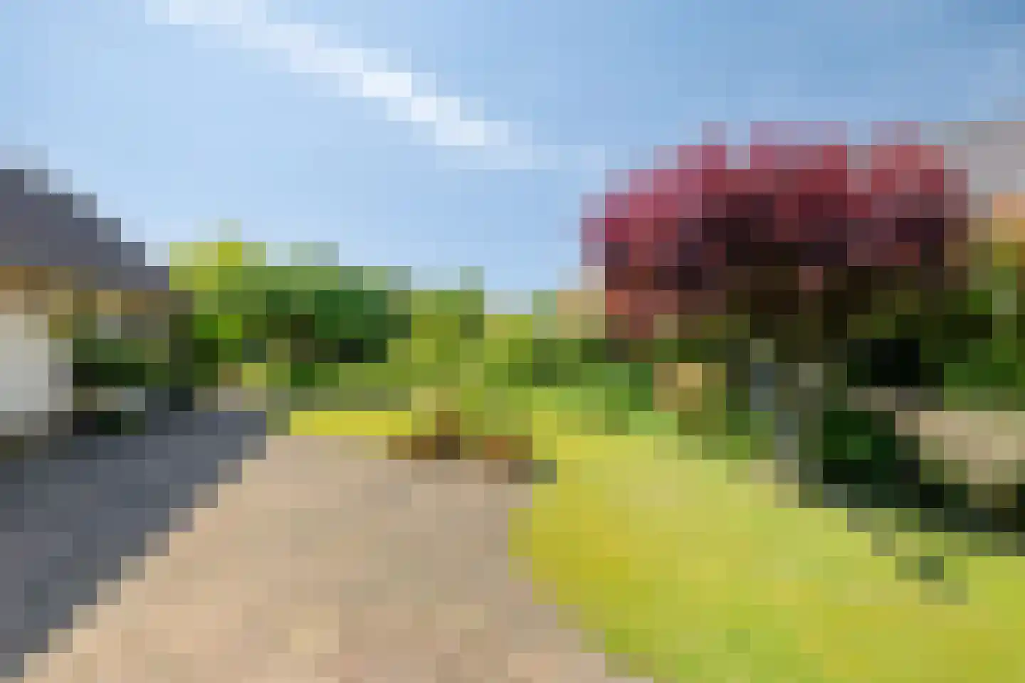 Oranjestraat 35 Wehl thumbnail 43