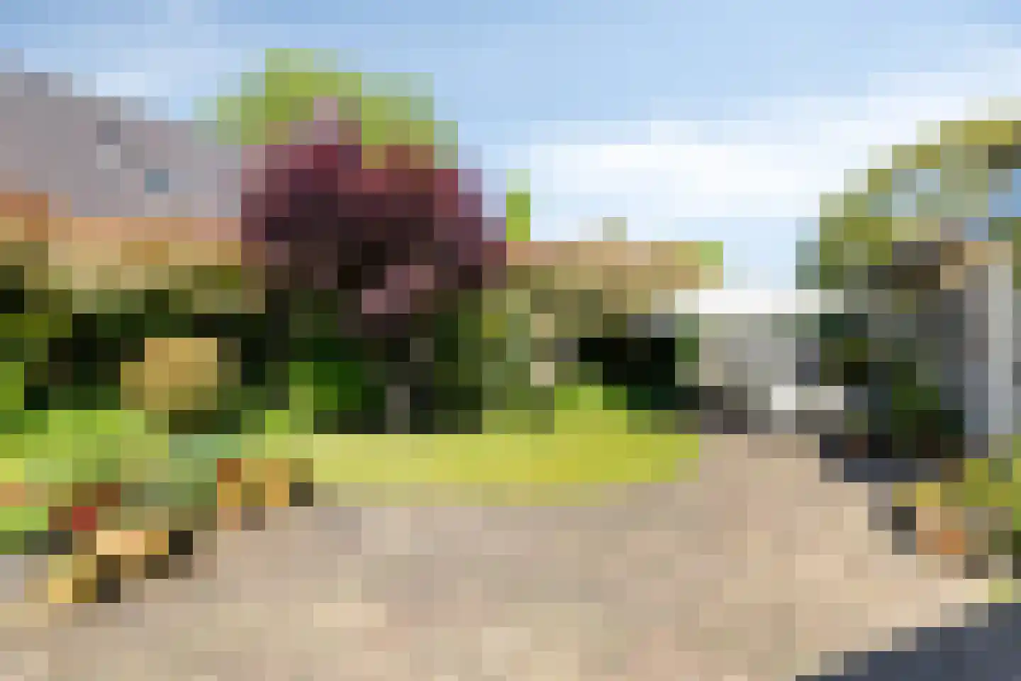 Oranjestraat 35 Wehl thumbnail 44