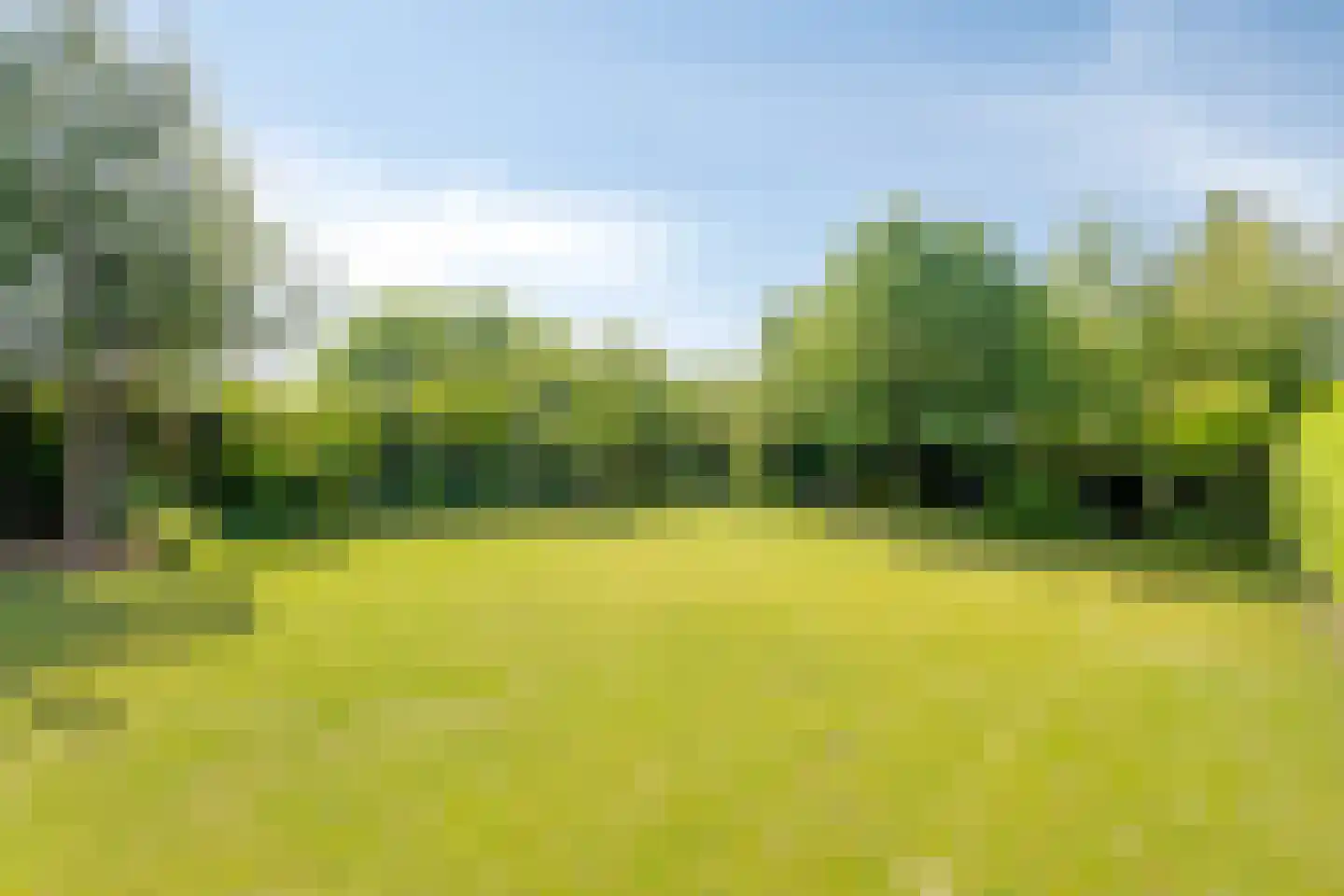 Oranjestraat 35 Wehl thumbnail 51