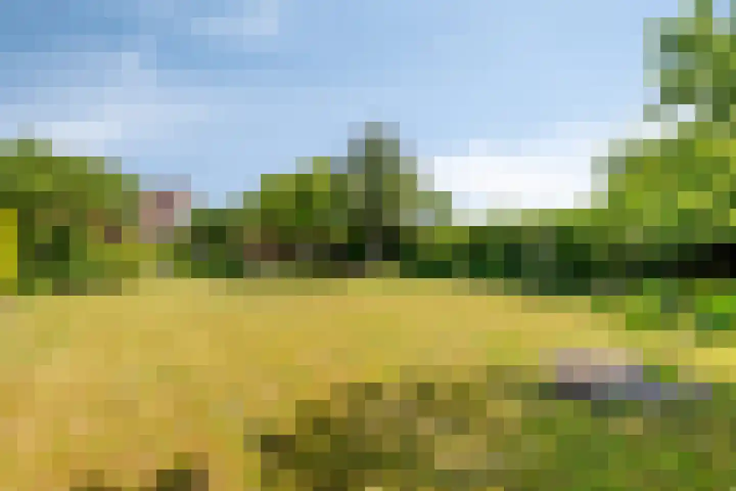 Oranjestraat 35 Wehl thumbnail 56