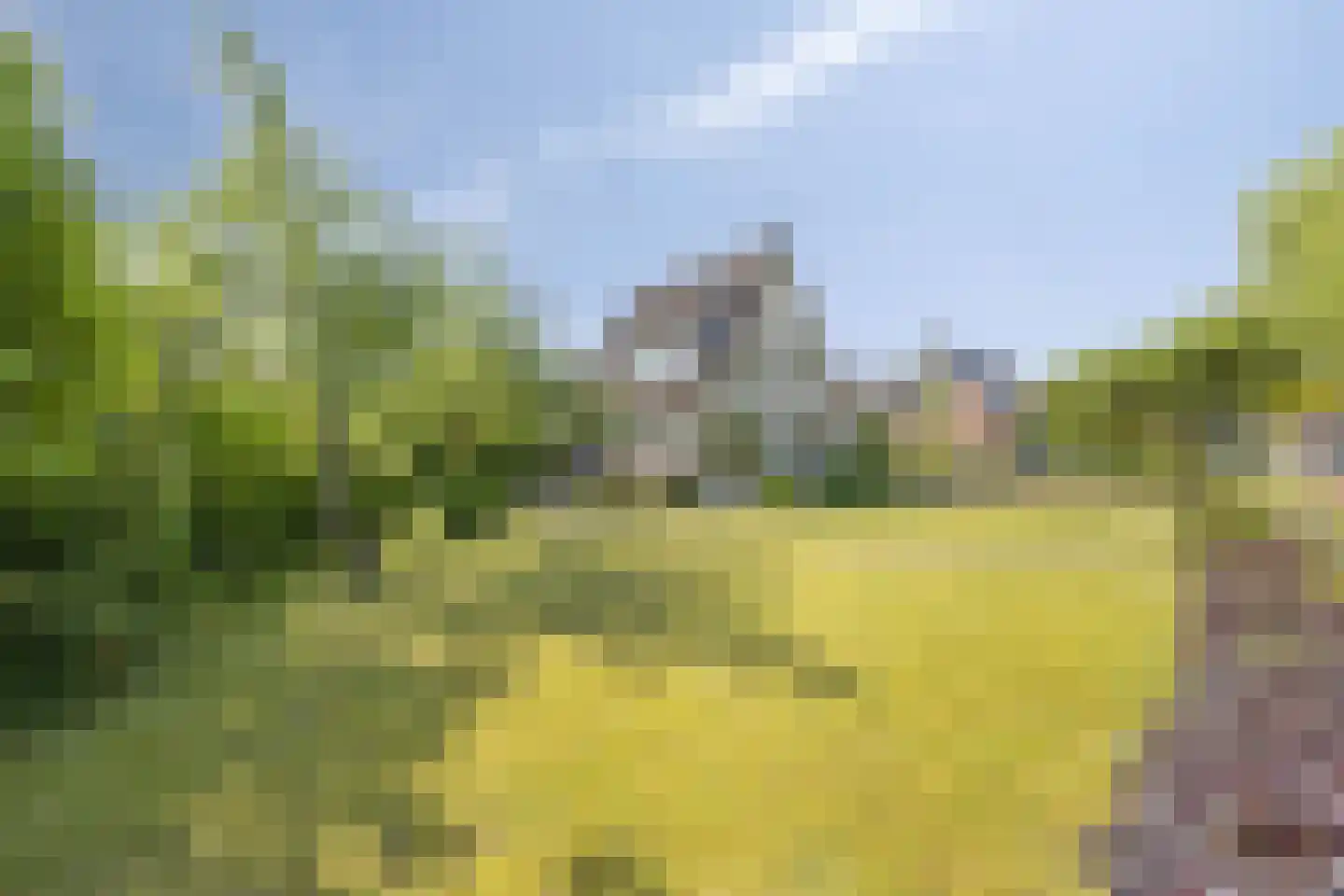 Oranjestraat 35 Wehl thumbnail 6