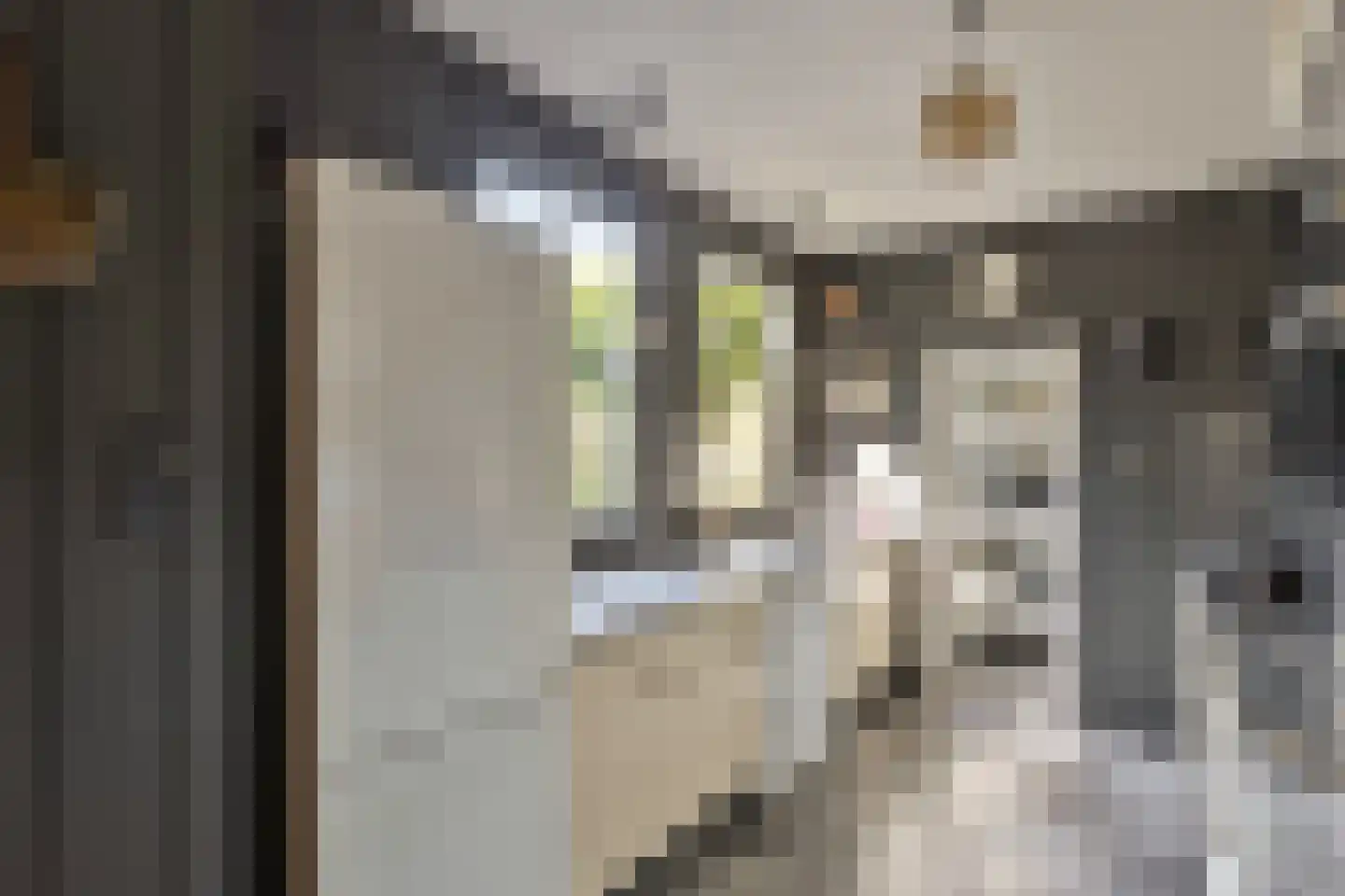 Oranjestraat 37 Monnickendam thumbnail 18