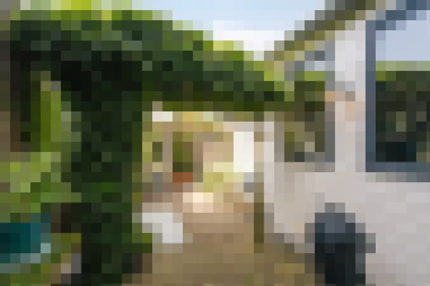 Oranjestraat 37 Monnickendam thumbnail 38