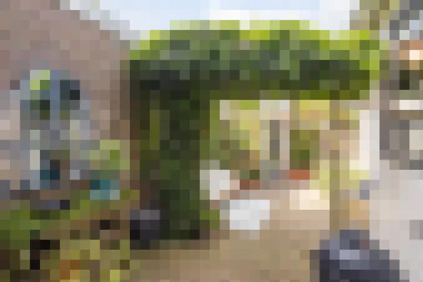 Oranjestraat 37 Monnickendam thumbnail 4