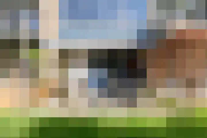 Oranjestraat 39 Barendrecht thumbnail 38
