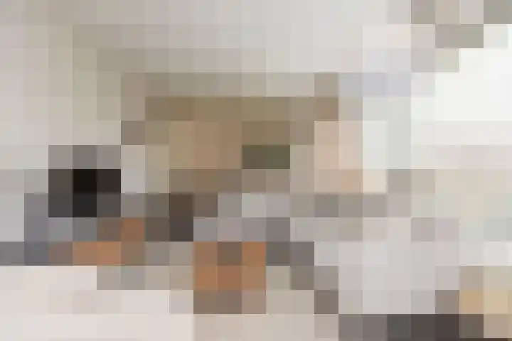 Oranjestraat 39 Barendrecht thumbnail 8