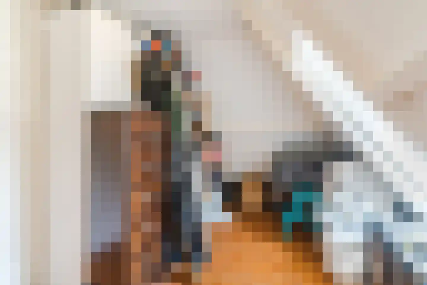 Oranjestraat 39 Gilze thumbnail 52