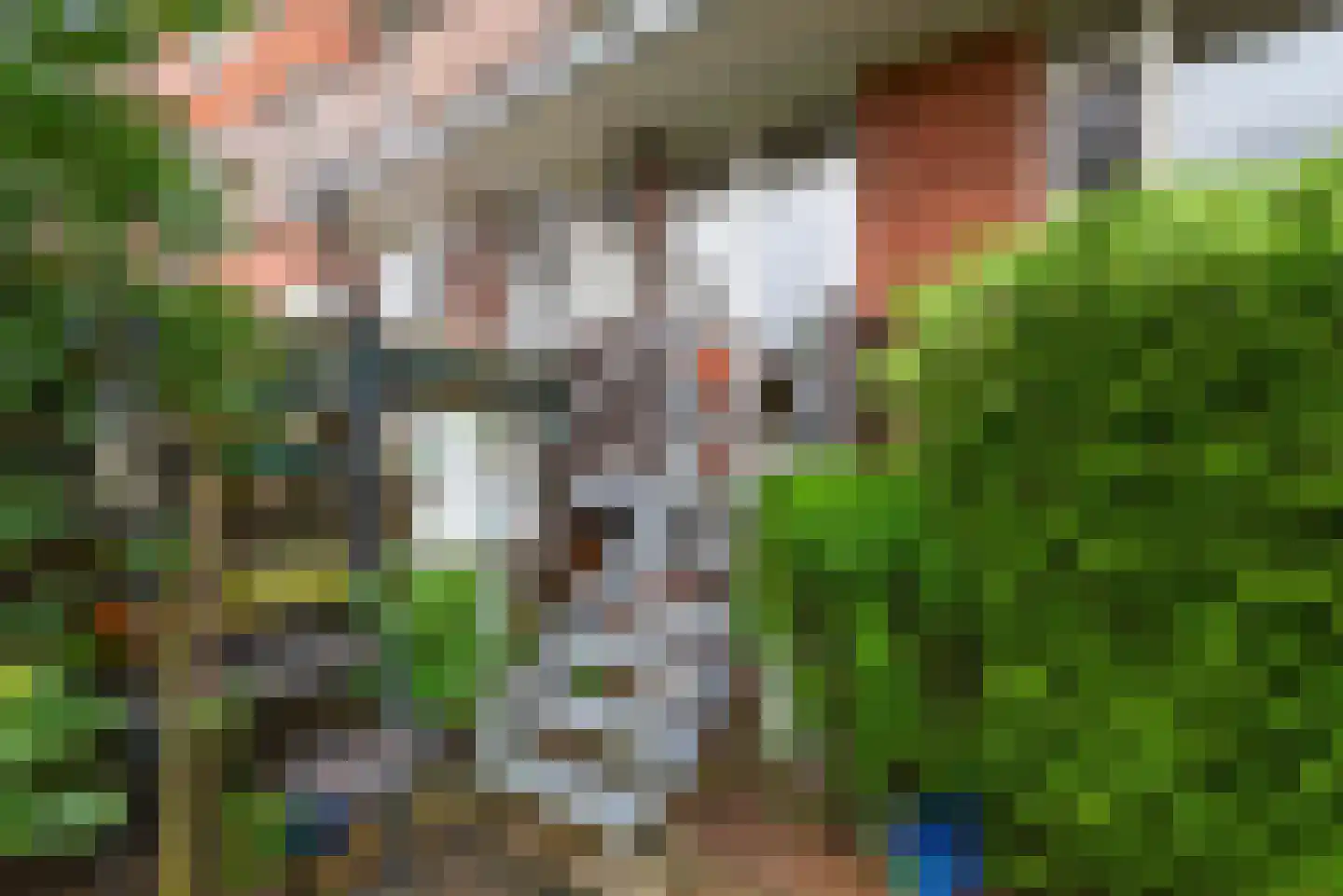 Oranjestraat 39 IJmuiden thumbnail 34