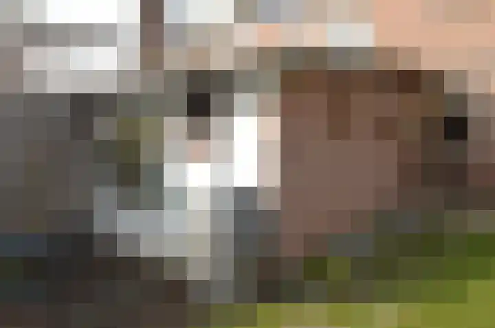 Oranjestraat 4 Deurne thumbnail 28