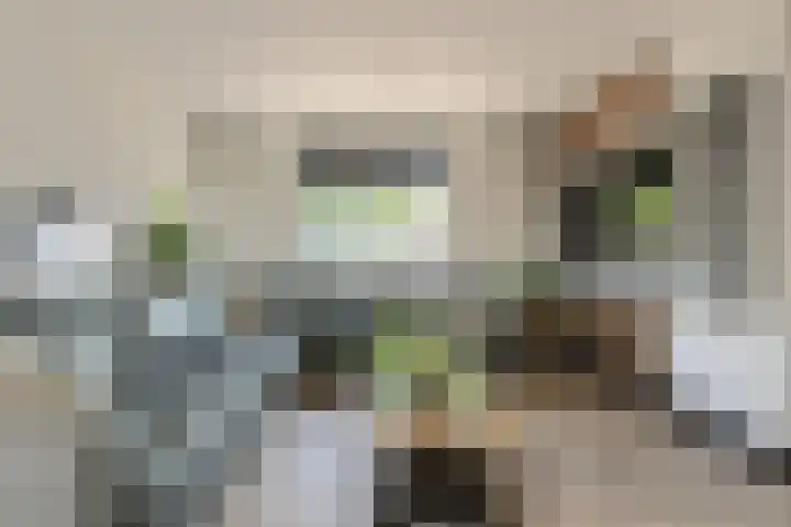Oranjestraat 4 Raamsdonksveer thumbnail 11