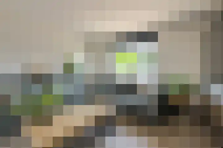 Oranjestraat 4 Raamsdonksveer thumbnail 12