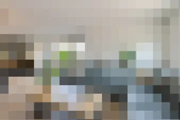Oranjestraat 4 Raamsdonksveer thumbnail 13