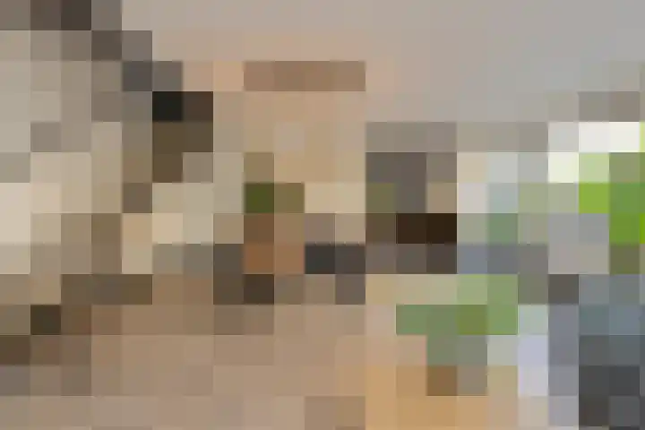 Oranjestraat 4 Raamsdonksveer thumbnail 15