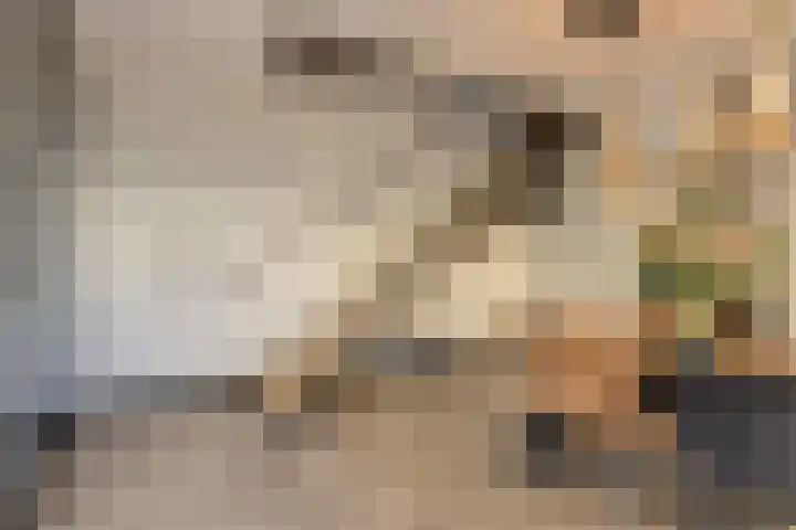 Oranjestraat 4 Raamsdonksveer thumbnail 16