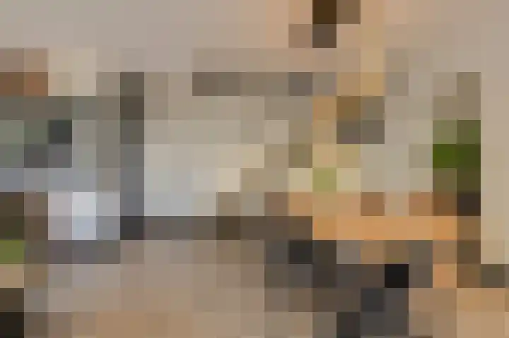 Oranjestraat 4 Raamsdonksveer thumbnail 17
