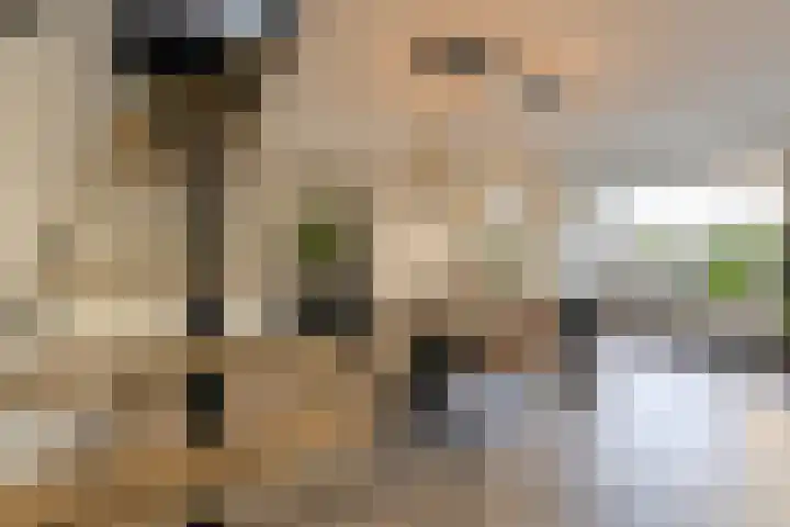 Oranjestraat 4 Raamsdonksveer thumbnail 18