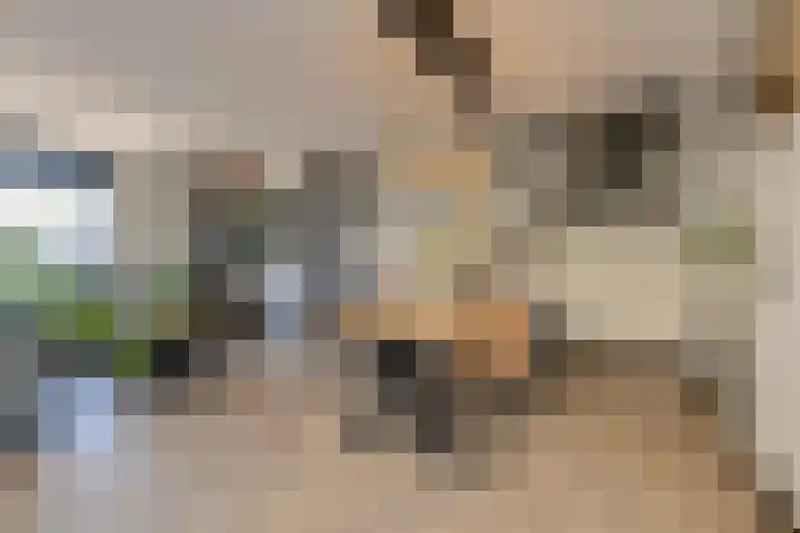 Oranjestraat 4 Raamsdonksveer thumbnail 20