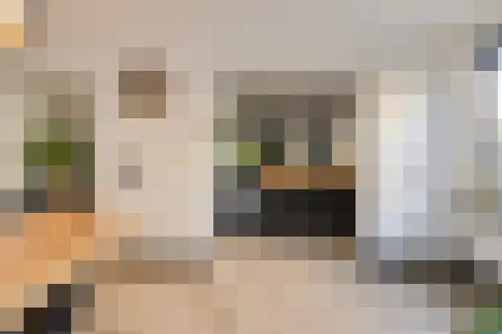 Oranjestraat 4 Raamsdonksveer thumbnail 21