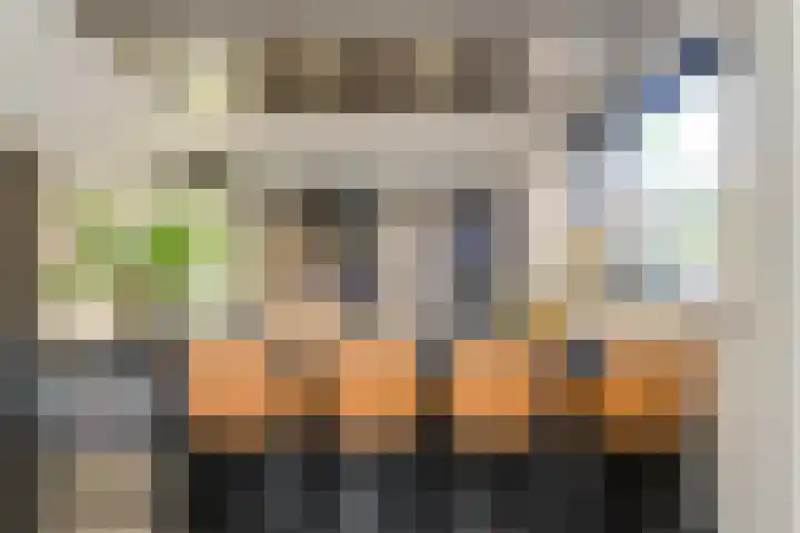 Oranjestraat 4 Raamsdonksveer thumbnail 22