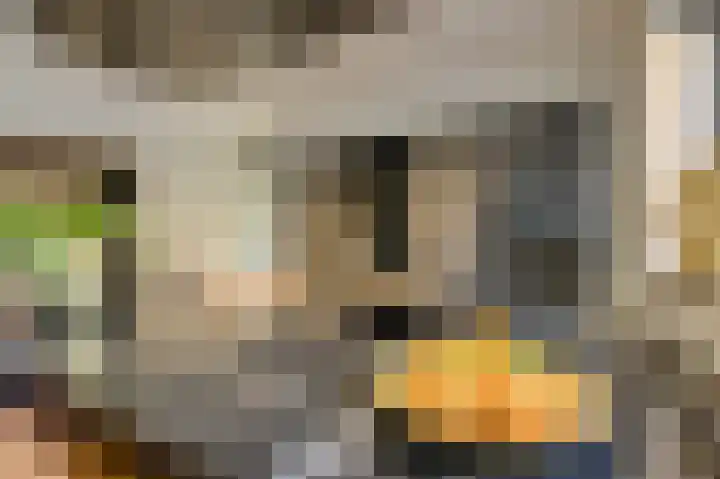 Oranjestraat 4 Raamsdonksveer thumbnail 23