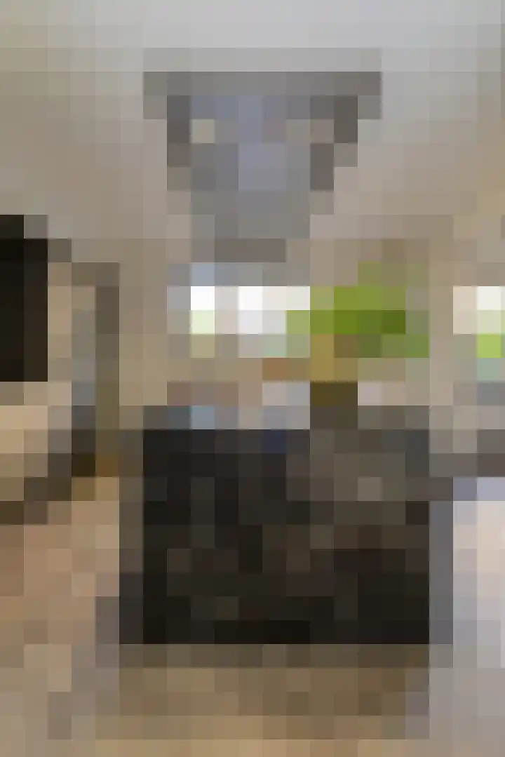 Oranjestraat 4 Raamsdonksveer thumbnail 24