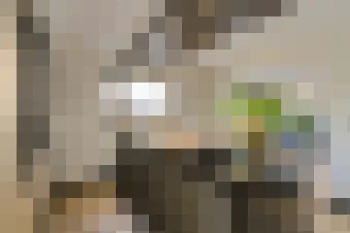 Oranjestraat 4 Raamsdonksveer thumbnail 26