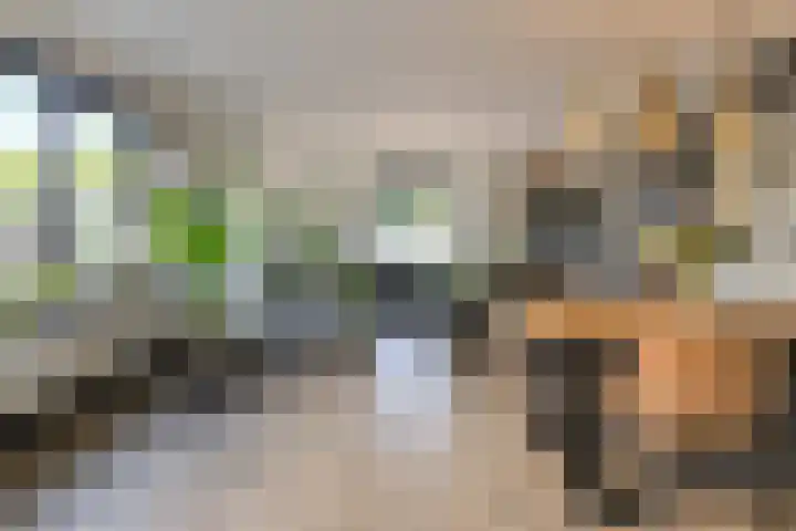 Oranjestraat 4 Raamsdonksveer thumbnail 28