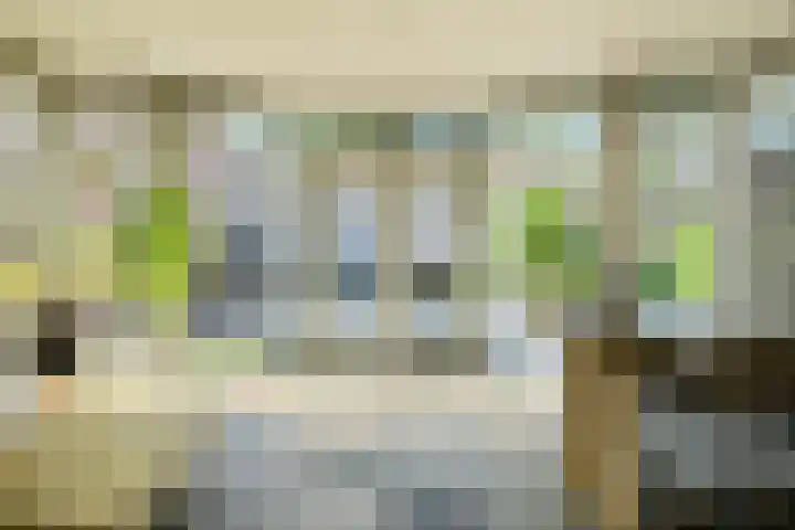 Oranjestraat 4 Raamsdonksveer thumbnail 29