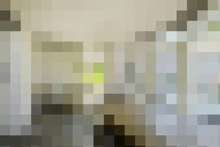 Oranjestraat 4 Raamsdonksveer thumbnail 31