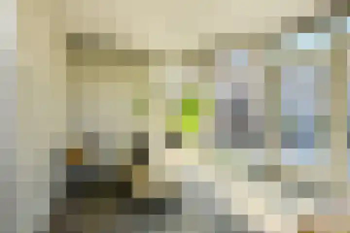 Oranjestraat 4 Raamsdonksveer thumbnail 32