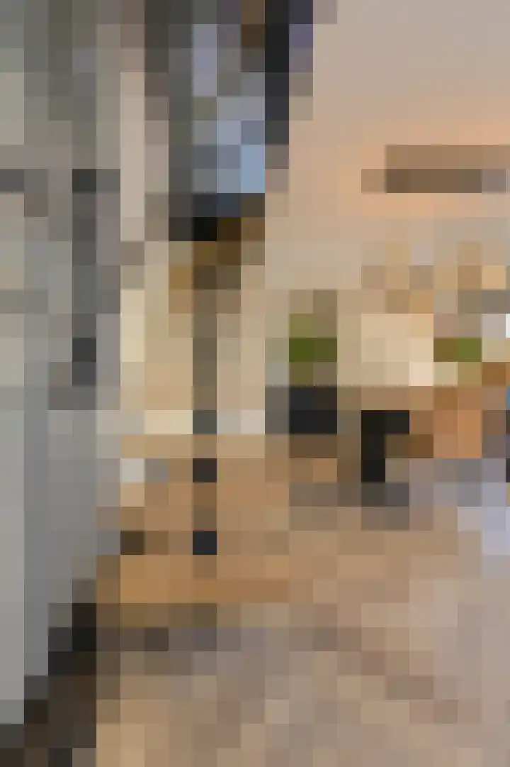 Oranjestraat 4 Raamsdonksveer thumbnail 36