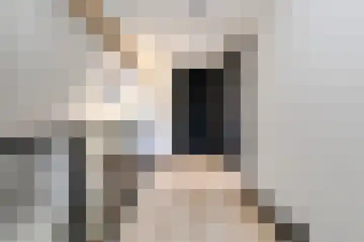 Oranjestraat 4 Raamsdonksveer thumbnail 41
