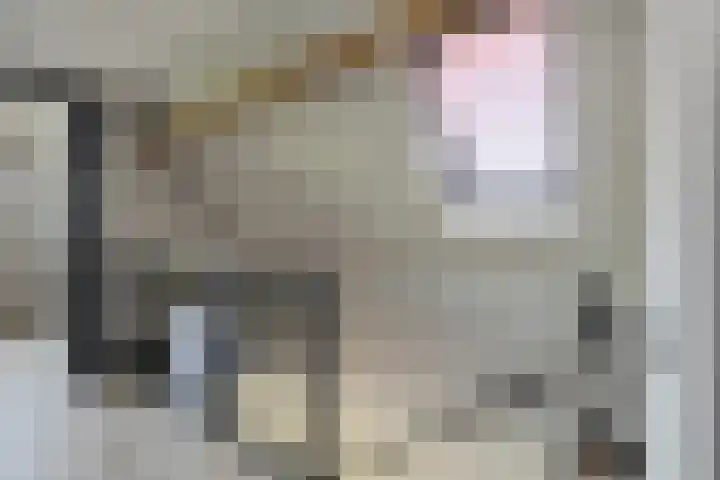 Oranjestraat 4 Raamsdonksveer thumbnail 42