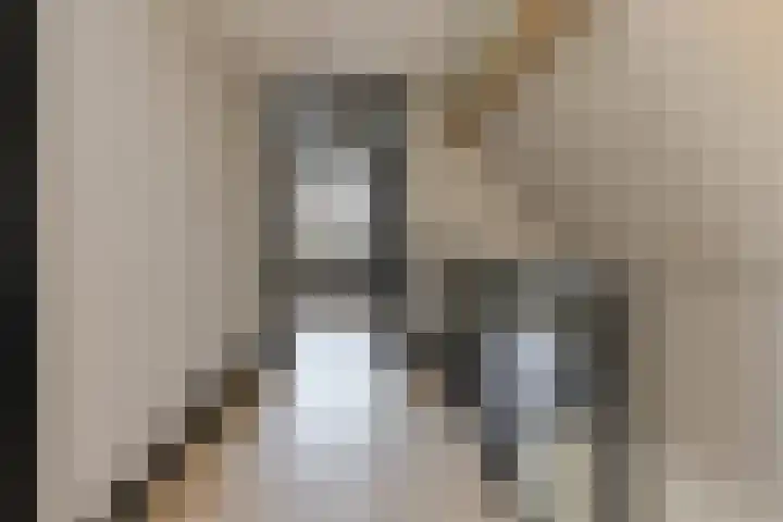 Oranjestraat 4 Raamsdonksveer thumbnail 43