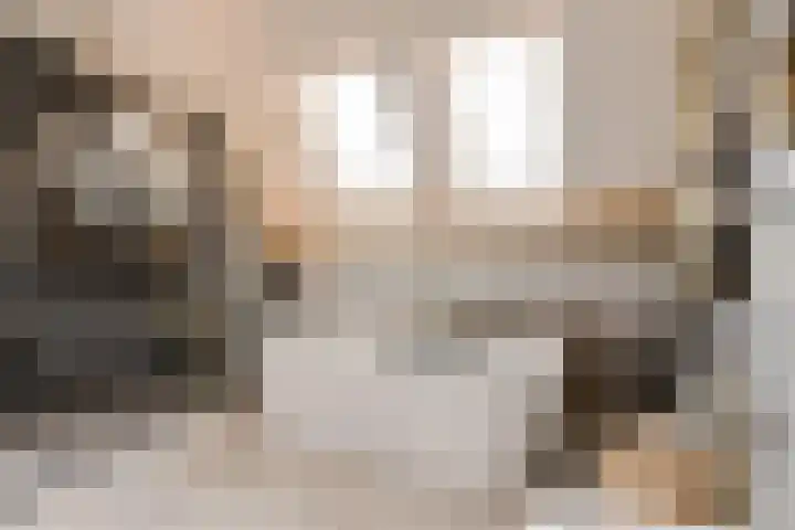 Oranjestraat 4 Raamsdonksveer thumbnail 44